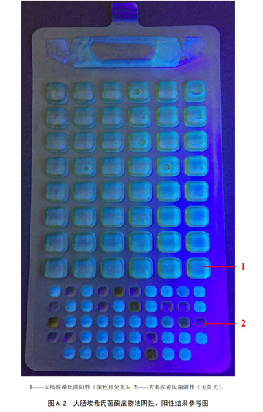 大腸埃希氏菌酶底物法陰性、陽性結果參考圖